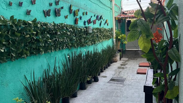 Hallway - ALO MEXICO (Mexico City)