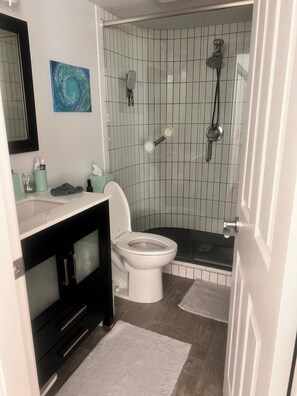 Shower, hair dryer, towels, soap
