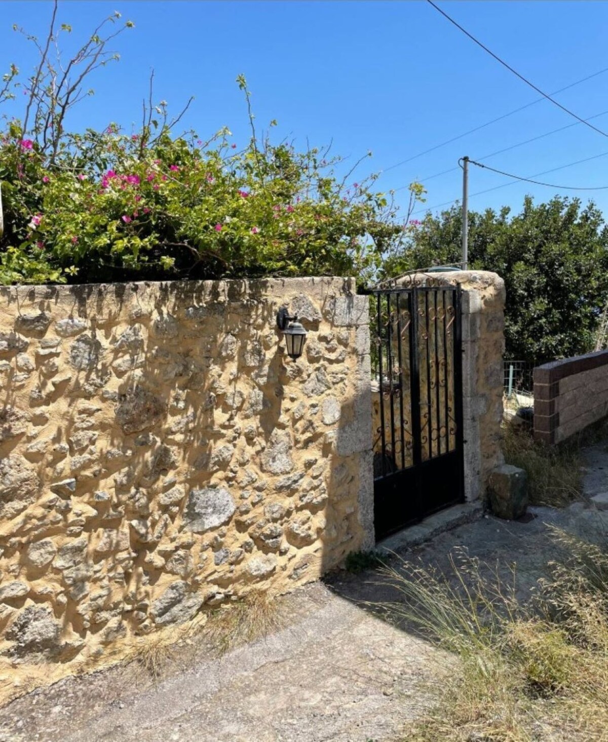 Imagen de perfil del propietario o de la propietaria