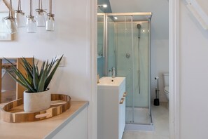 Shower, hair dryer, towels, toilet paper