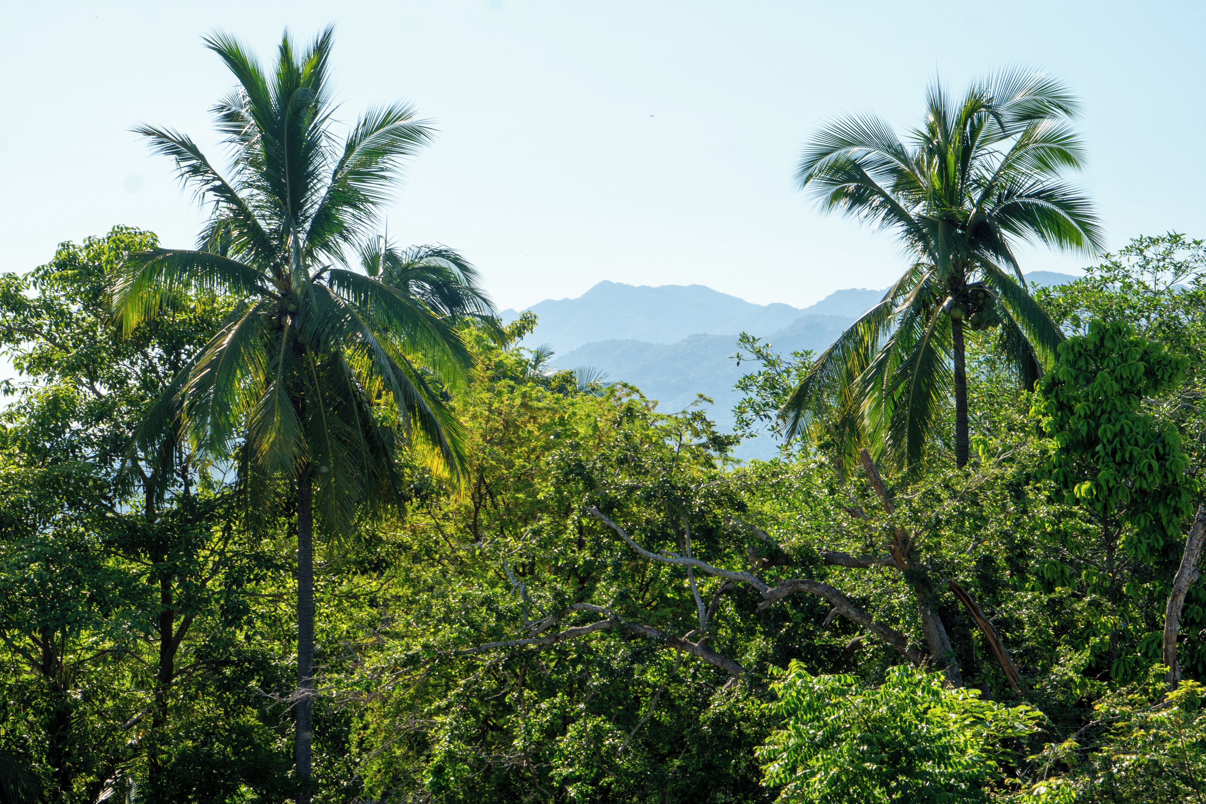 Vista desde la propiedad