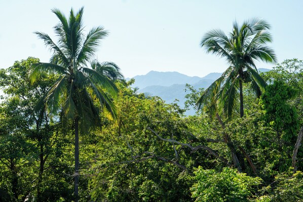 Vista desde la propiedad