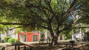 A tree-lined courtyard with a red building, benches, and a mailbox. - Landing South San Antonio (San Antonio)