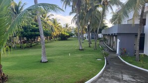 A pathway flanked by palm trees and a building with a modern design.