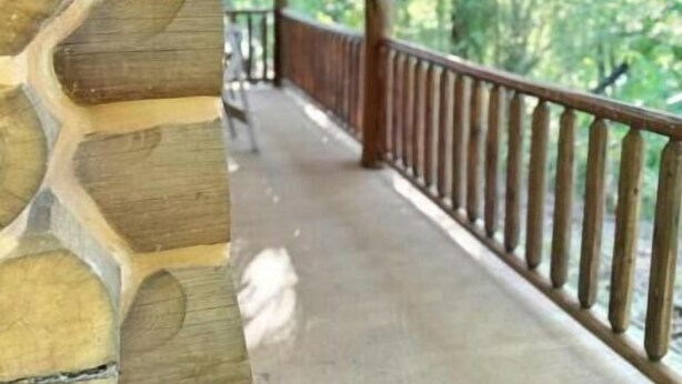 A wooden deck with a railing, surrounded by greenery.