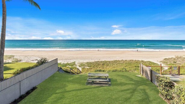 A beach view with a grassy area, a wooden bench, and a concrete wall. - Thirty-Nine Albatross (Apartment 8) (Gold Coast)