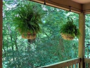 Property grounds - Family Friendly Cabin- Franklin, Highlands, Smoky Mountains (Franklin)