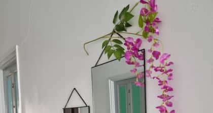Kwarts Appartementen - Standard Studio