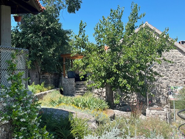 Terrein van de accommodatie