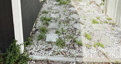 Charming studio in terrific Tampa with WiFi, AC