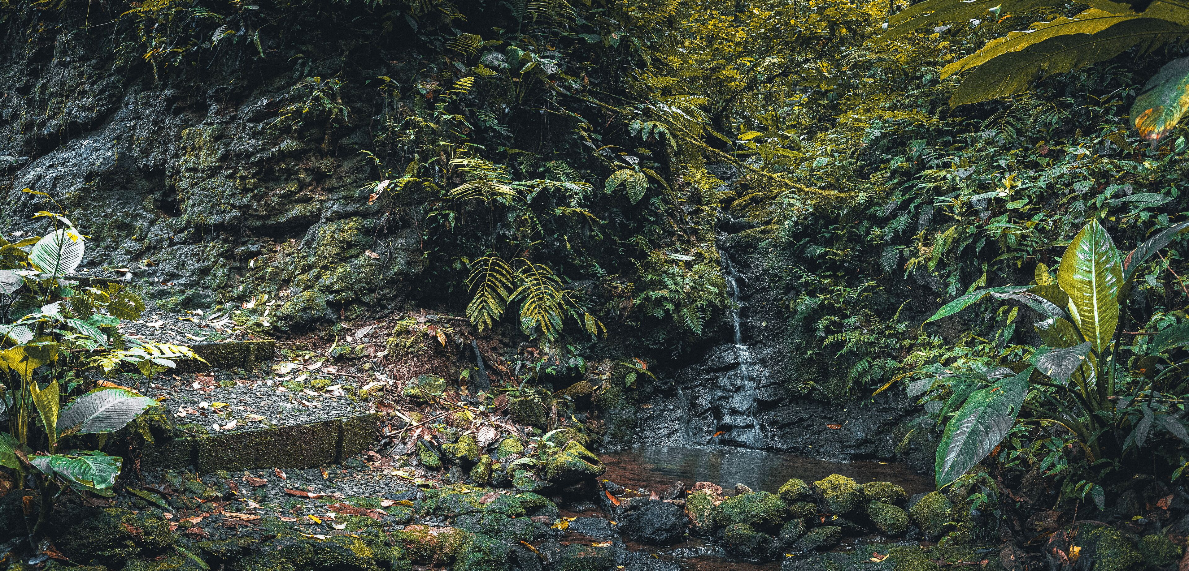 Natural pool