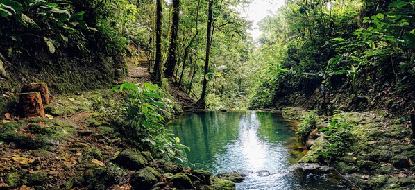 Naturpool
