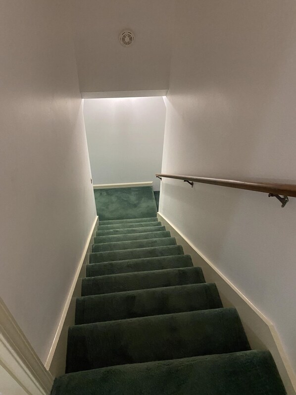 A staircase with green carpeted steps, white walls, and a handrail on the right.