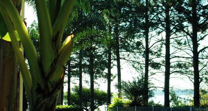 House on Salto Grande Lake (pets welcome)