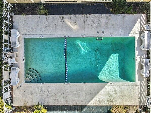 Vue aérienne d’une piscine rectangulaire dotée d’un plongeoir, entourée de chaises longues et bordée d’une terrasse en béton.