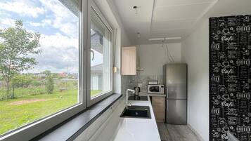 Fridge, oven, stovetop, dishwasher