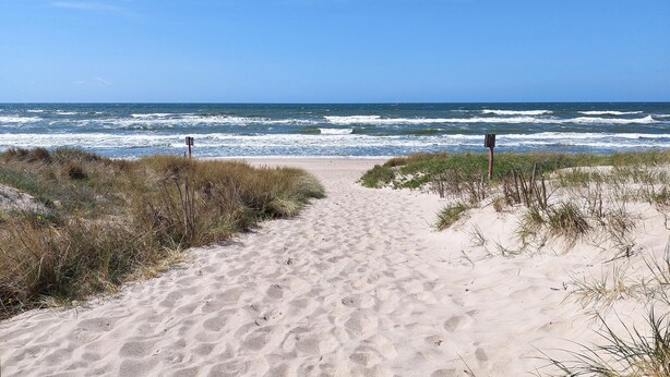 Ein sandiger Küstenpfad, der zum Meer führt, mit Dünen an beiden Seiten.