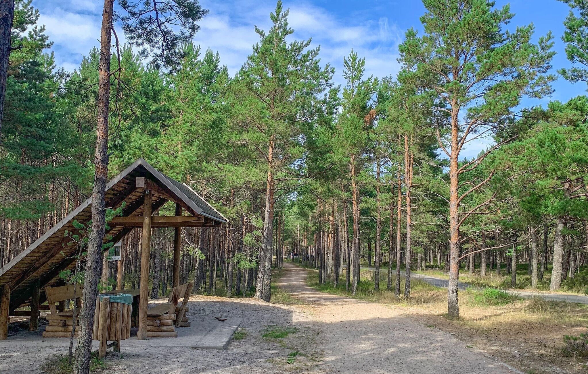 Eine rustikale Holzhütte mit geneigtem Dach, umgeben von dichtem Wald.