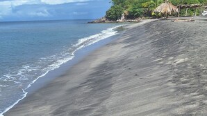 Una playa con una estructura de techo de paja y vista al océano.