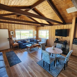 Smart TV, fireplace, books