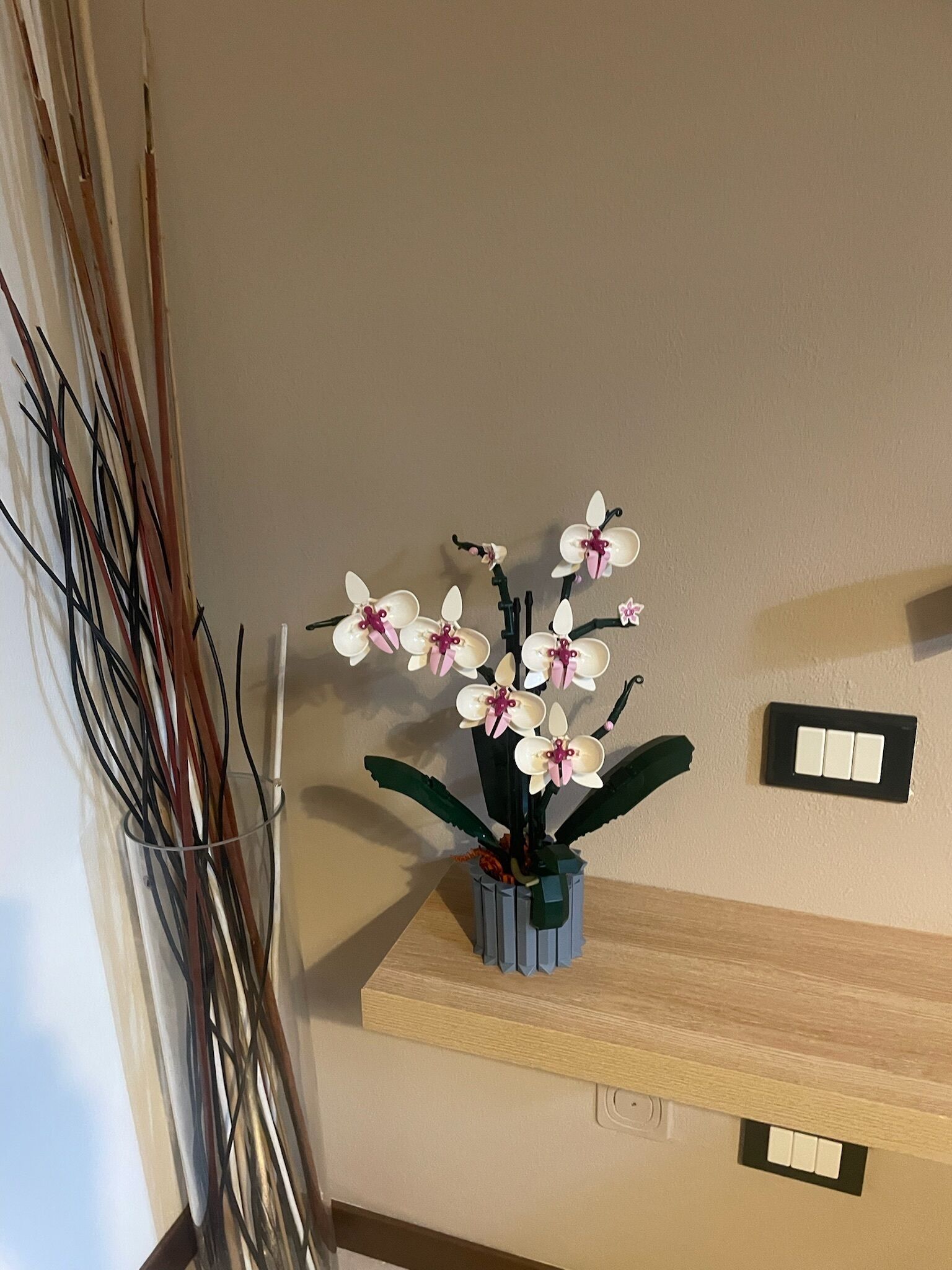 A wall-mounted shelf with a potted orchid plant.