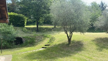 Un’area verde con erba e una scalinata in pietra che conduce a un edificio.