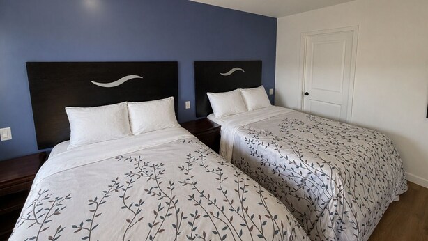 A hotel room with two beds, a dark blue accent wall, and a white door. - Encore Inn Inglewood  (Inglewood)