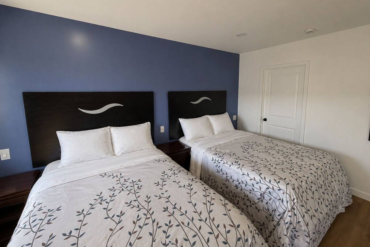 A hotel room with two beds, a dark blue accent wall, and a white door.