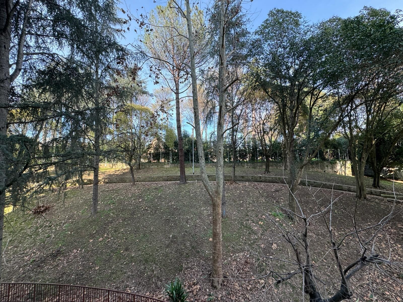 A park with various trees, a grassy area, and a metal fence.