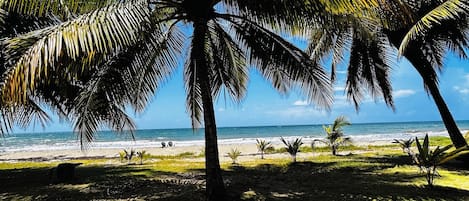 在海滩、沙滩椅、沙滩毛巾