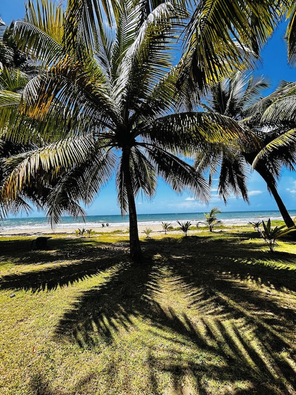 On the beach, sun-loungers, beach towels