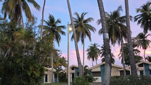 Un resort con palmeras, césped y edificios modernos de techo plano.