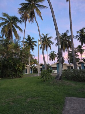 Àrea exterior de l'allotjament