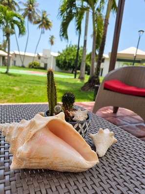 Una mesa con una concha, un cactus y un cuenco con otras plantas.