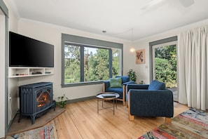 TV connectée, cheminée, livres