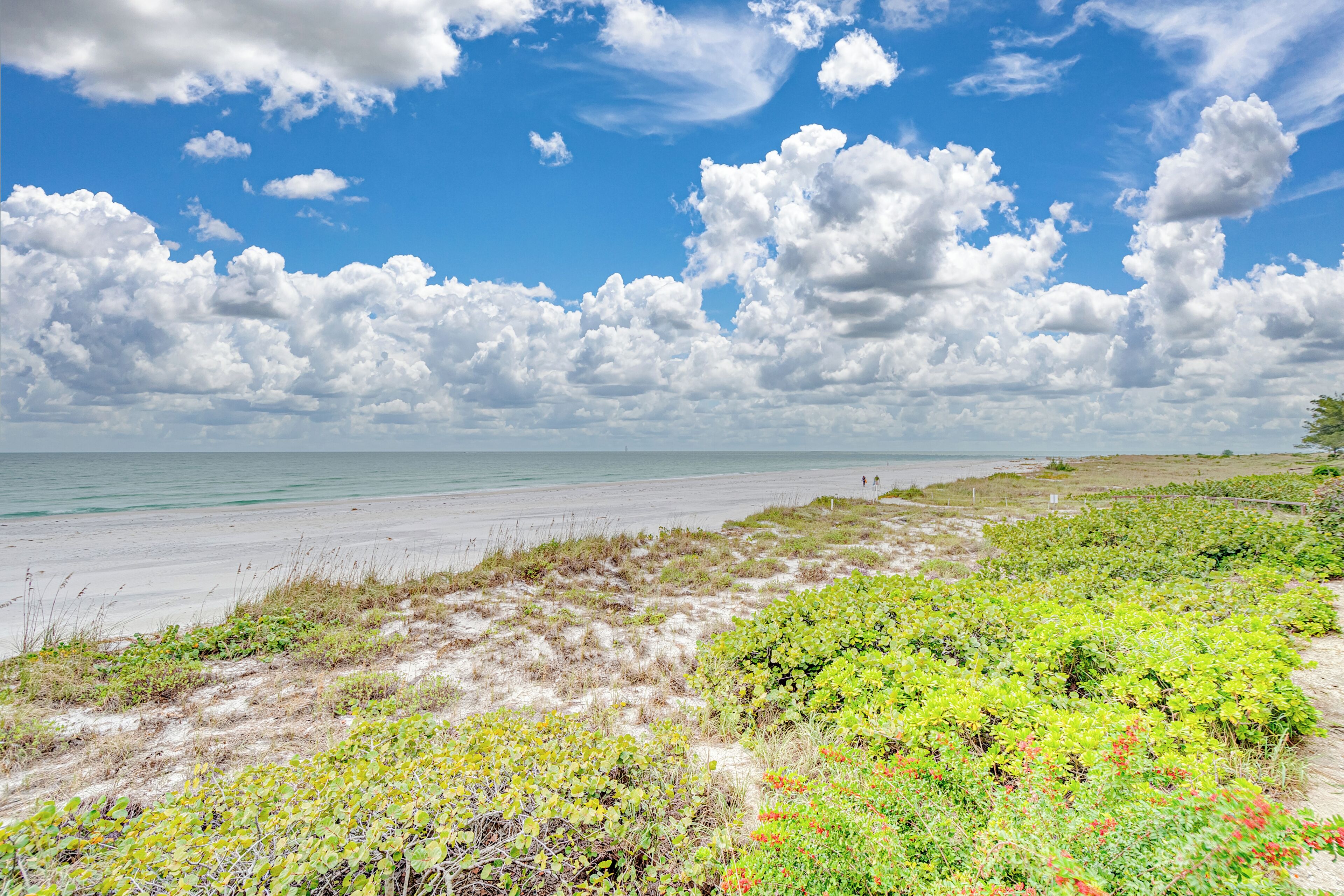 Une plage avec des dunes de sable, une végétation verdoyante et un ciel bleu clair parsemé de nuages.