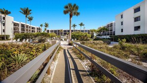 A pathway leading to a building with multiple floors, surrounded by palm trees and greenery.