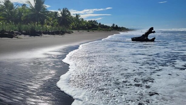 A beach with a boat on the shore, palm trees, and a clear sky. - Villa Milagro (Provincia de Puntarenas)