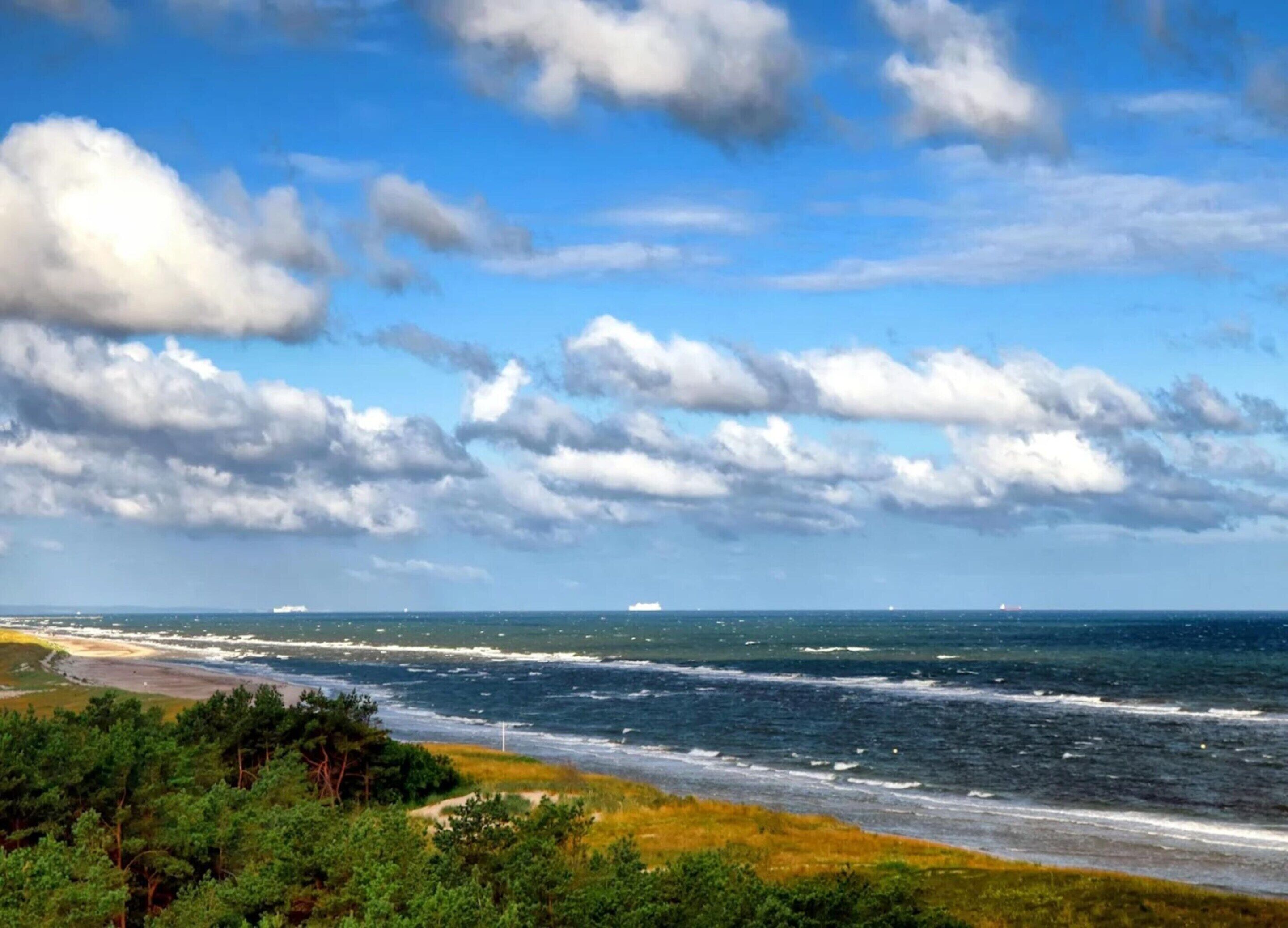 A coastal landscape with a beach, ocean, and forested area.