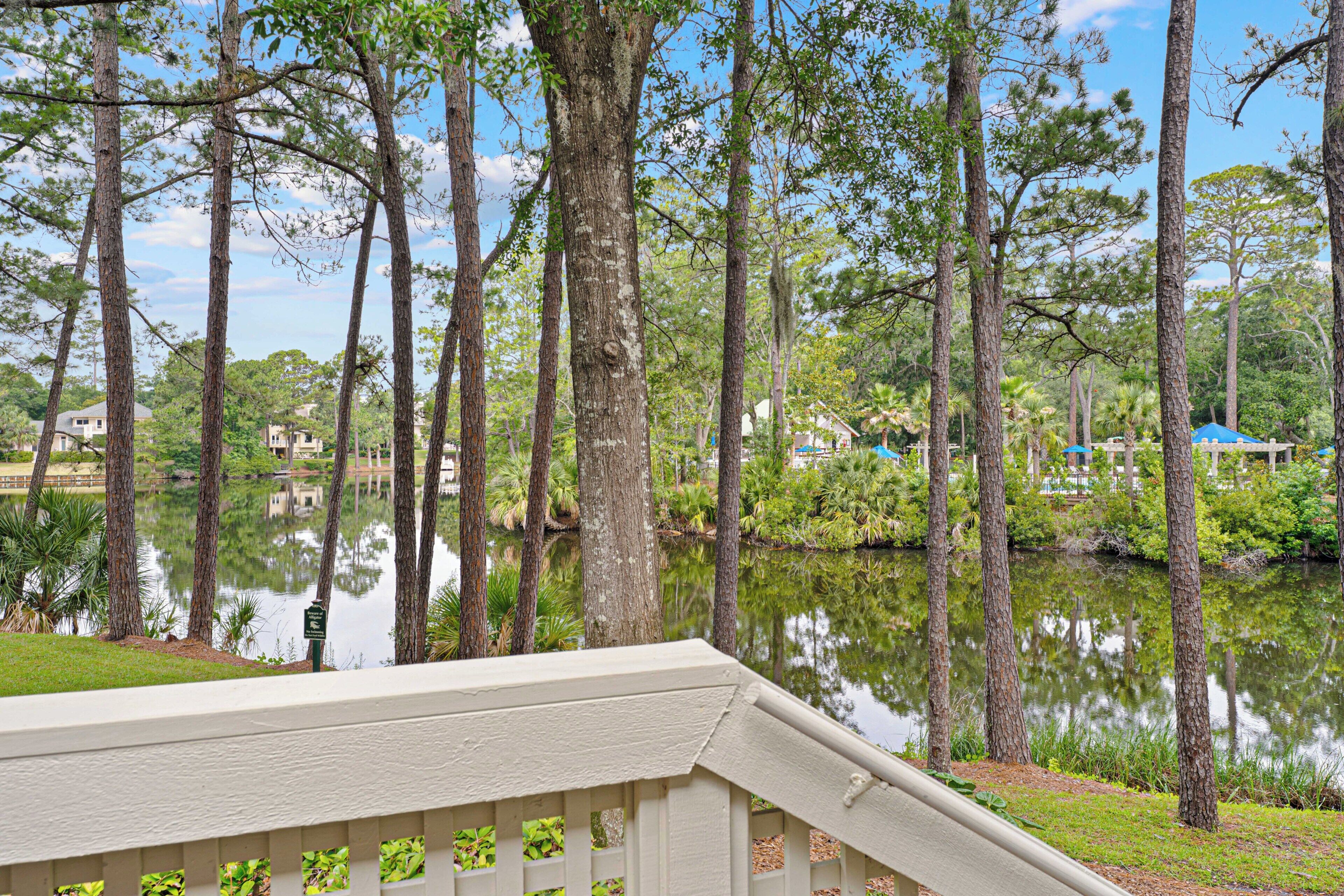 A serene outdoor area with a pond, tall trees, and a building in the background.