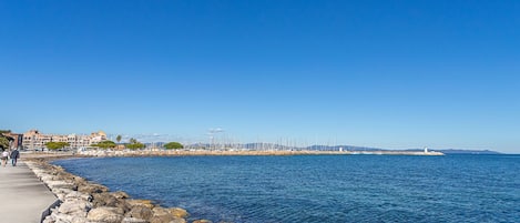 Ranta