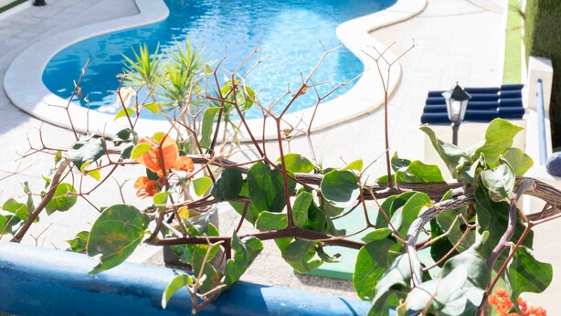 Unclassified image, 1 of 46, button - Villa 8: Chalet with private garden (Torrevieja)