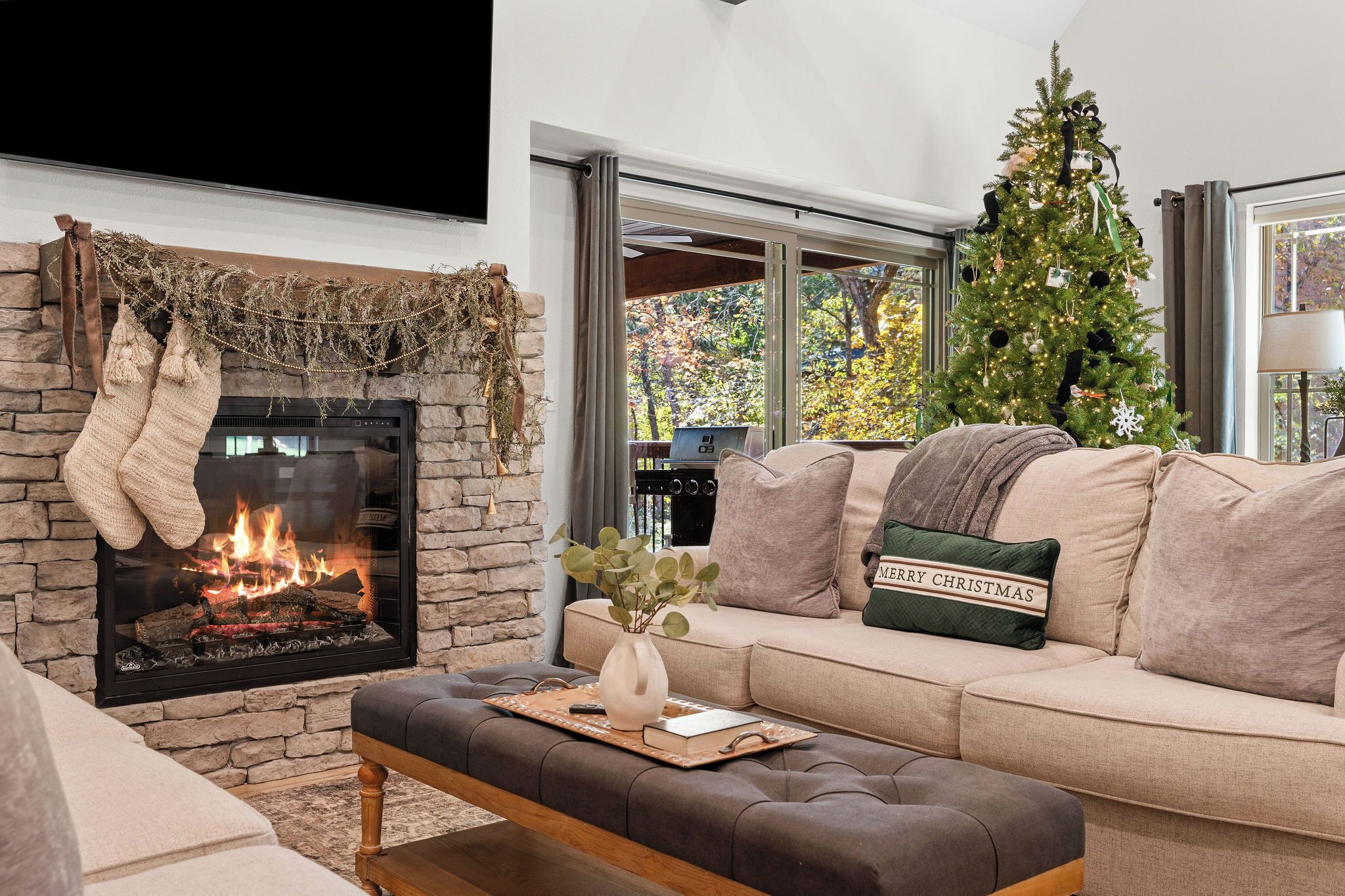 Smart TV, chimenea y libros 