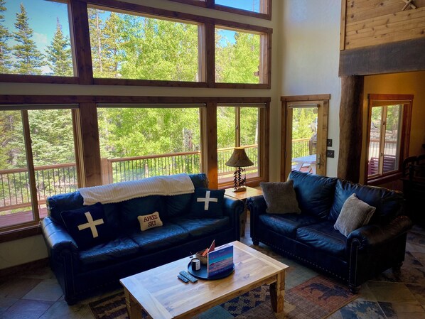 TV, fireplace, DVD player, table tennis