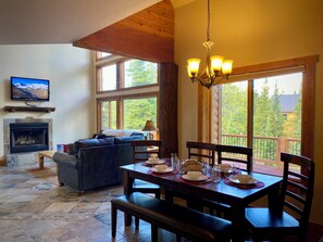 Télévision, cheminée, lecteur de DVD, table de tennis de table