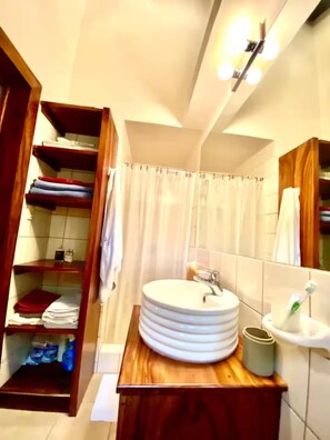 Shower, hair dryer, bidet, towels