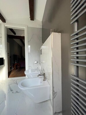 Shower, hair dryer, bidet, towels