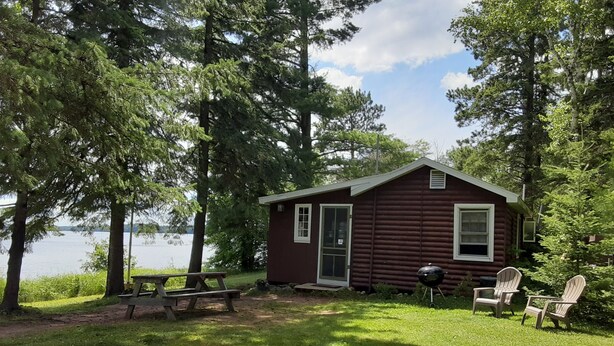A cabin with a picnic table and two Adirondack chairs, surrounded by trees and a lake view. - Rustic 2 Bed Lakeside Cabin - boats available (Hayward)