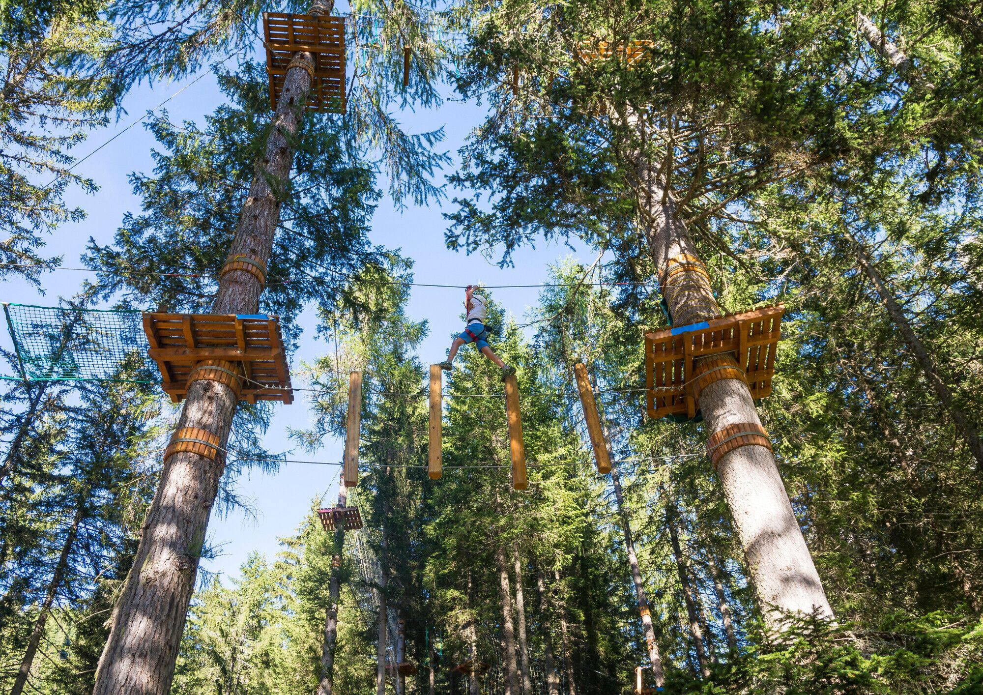 Une zone boisée avec de grands arbres et des plateformes en bois pour la pratique de la tyrolienne.
