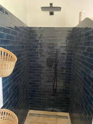 Shower, hair dryer